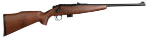 Crickett Model 722 Sporter Compact Youth 22 LR rifle with walnut stock | Shop Golden Brothers Co