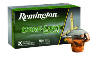 Remington .30-06 180gr Core-Lokt | Golden Brothers Co