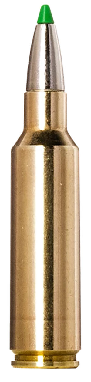 Norma Ammunition 20177512 Ecostrike 300WSM 165gr 20 Per Box/10 Case