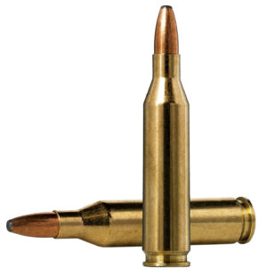 Norma Ammunition 20160332 Oryx 243Win 100gr 20 Per Box/10 Case