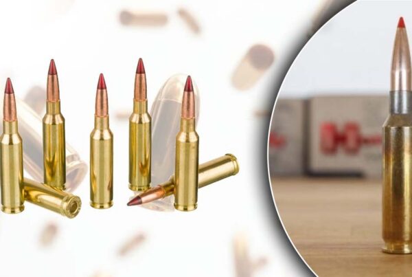 6.5 Creedmoor | Golden Brothers Co