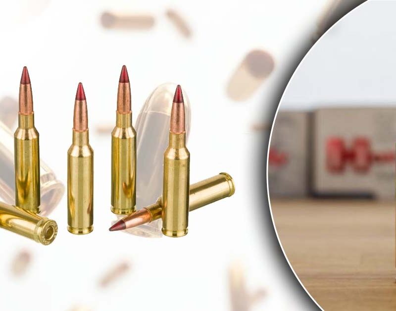 6.5 Creedmoor | Golden Brothers Co
