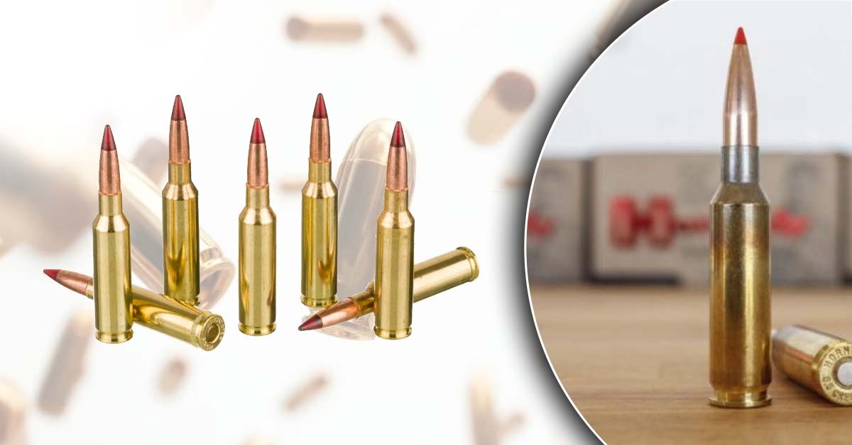 What Is 6.5 Creedmoor? Full Beginner Guide