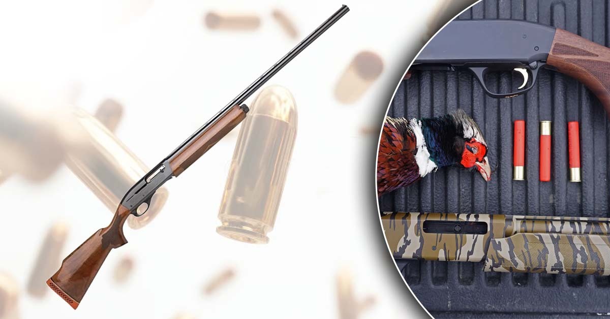 .410 Shotgun: The Complete Beginner’s Guide (What Nobody Tells You Before You Buy)