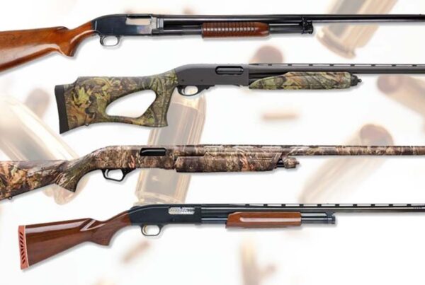 Benelli shotguns | Golden Brothers Co