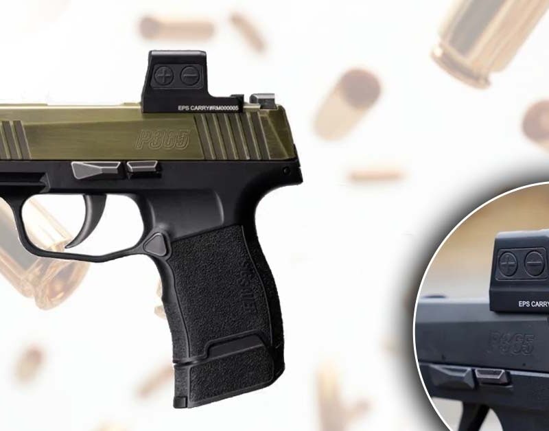 Holosun eps carry | Golden Brothers Co